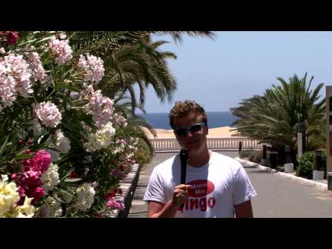 download lagu mp3 mp4 Mamma Mia Bingo, download lagu Mamma Mia Bingo gratis, unduh video klip Mamma Mia Bingo