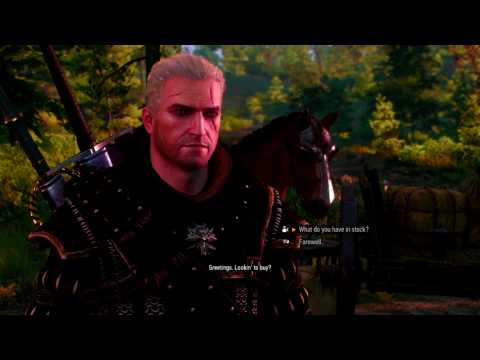 Let's Play Witcher 3 The Wild Hunt Pt. 127