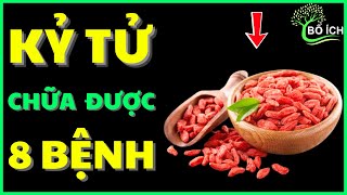 Good News: 8 Benefits of Goji Berries That Can Cure 8 Most Common Diseases - Useful Health Channel
