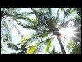 The Amazing Hawaii Club Bali Resort In Java