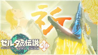 【ゼルダの伝説TotK】ゼルダの祈り。明かされる真実＃30【ティアーズオブザキングダム攻略】