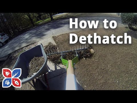  Do My Own Lawn Care - How to Dethatch Video 