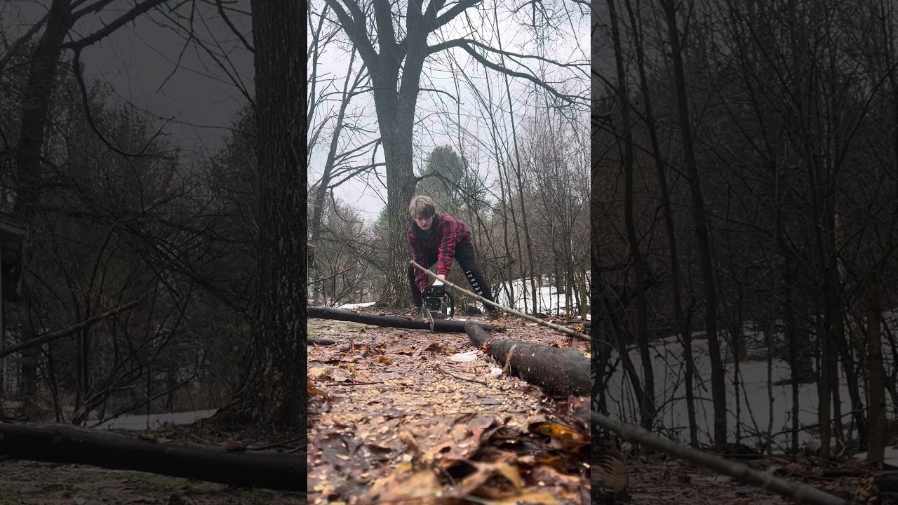 Garwinner chainsae actually works??? #firewood #treeservice