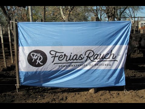 Resumen del remate de Ferias Rauch - Martes 16 de may0 de 2023 - Rauch