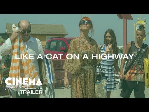 Like A Cat On A Highway (2017) Official Trailer