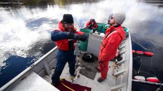 Forestry and environmental sciences at UMaine: Full Length version