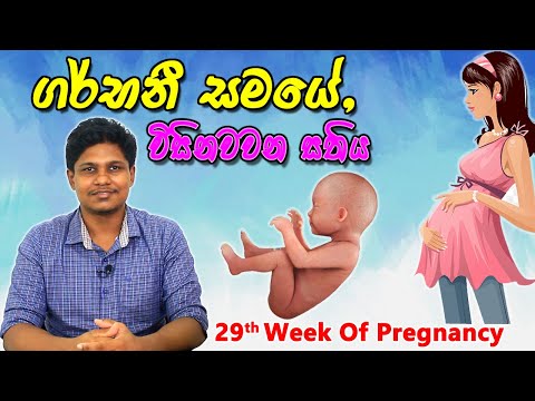 Pregnancy 29th Week | Sinhala Medical Review | අම්මයි බබයි