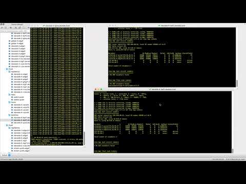 NSX-T Federation Upgrade. Edges, Hosts and Local Manager.