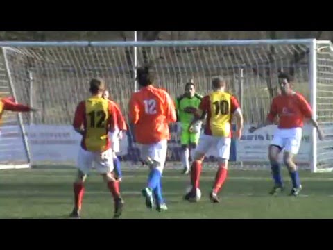 Samenvatting DVOV  - Veluwse Boys