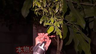 【スパイダーマン】本物のウェブシューターが完成したぞ！！【MARVEL】 #spiderman #アメイジングスパイダーマン#スパイダーマン #スパイダーマンブランドニューデイ