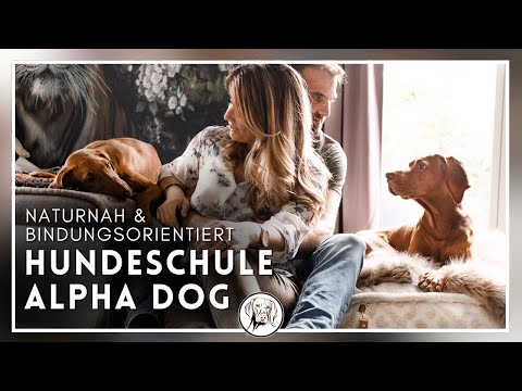 Hundeschule Alpha Dog – für Menschen, die mehr wollen – denn Veränderung beginnt bei dir.