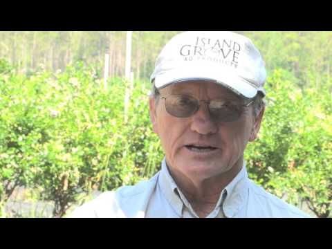 Organic Sound and Sensible Project Island Grove Ag Products