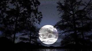 Enrico Rava BirdSong