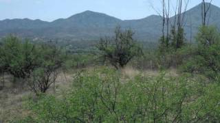 preview picture of video 'PRIME 8.76 ACRES~ POTENTIAL BUSINESS OPPORTUNITIES'