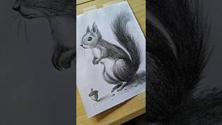Realistic squirrel drawing 🐿 | Tutorial #drawing #art #shorts