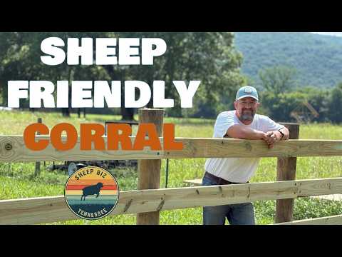 Our Sheep Corral - Built in 6 Days