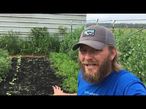 Improving My Bed Flips