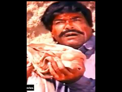 sultan rahi ka zabardast dialogue hi