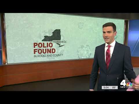 How Is Polio Transmitted? 1st U.S. Case in Almost a Decade Reported in New York | NBC New York