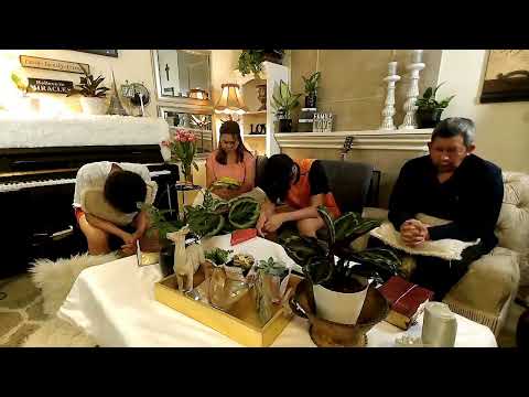 Bawa keluargamu melakukan Firman Tuhan,Family Devotion DAY 240