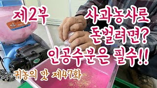 사과 농사로 돈벌려면? 사과수정(인공수분) 필수!! 꽃가루 면봉? 러브터치? 엔진형 인공수분기?  냉해만 아…