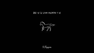 Posesiva - Bad Bunny, Bryant Myers (Visualizer) | Ya es mańana