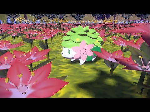 Leggende Pokémon: Arceus [19] Shaymin (+ Spada, Scudo)