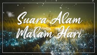 Download lagu Suara Alam Di Malam Hari, Musik Pengantar Tidur Malam Mp3 Atasi Insomnia Susah Tidur mp3