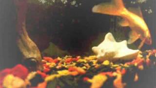 Dj Krush - Inorganizm