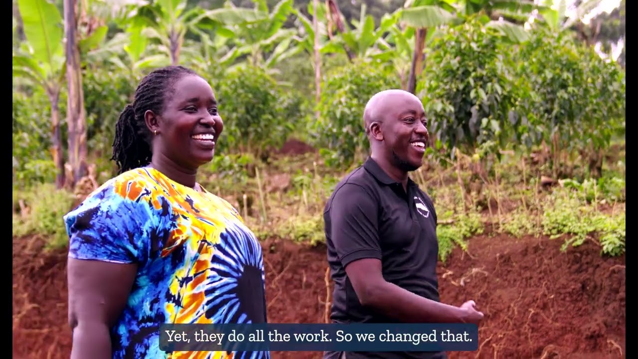 Mountain Harvest and Uganda's coffee rise