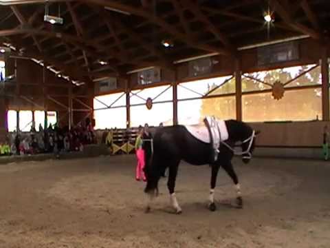 Doppel - Voltigieren - Jung-Senioren