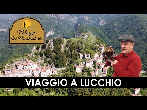 I VIAGGI DEL PIANTASTORIE - Lucchio