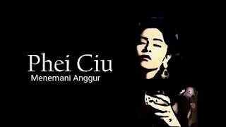 Download lagu 陪酒 Phei Ciu w/Lirik mp3