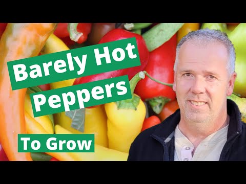 6 Best Barely HOT Peppers to Grow