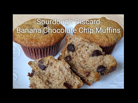 download lagu mp3 mp4 Sourdough Banana Muffins, download lagu Sourdough Banana Muffins gratis, unduh video klip Sourdough Banana Muffins