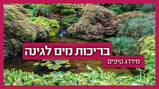 בריכות נוי לגינה - גנן מסביר על סוגים ואיך תתאימו לגינה