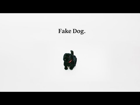 Chapman's Ice-cream Commercial "Dog " : Real Vs. Fake Campaign
