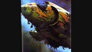 Duane Elms - Dawson's Christian