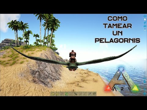 Como tamear un Pelagornis de manera fácil y rápida En Ark: Survival Evolved