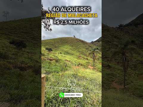 EXCELENTE PROPRIEDADE 40 ALQUEIRES REGIÃO DE MALACACHETA-MG #rural #agro #roça #fazenda #luxo #gado