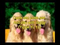 Slowed Down Practice Who Let The Dogs Out 人聲歌詞版