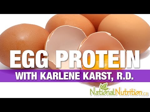 Egg Protein: Exploring Its Rich Nutrient Profile