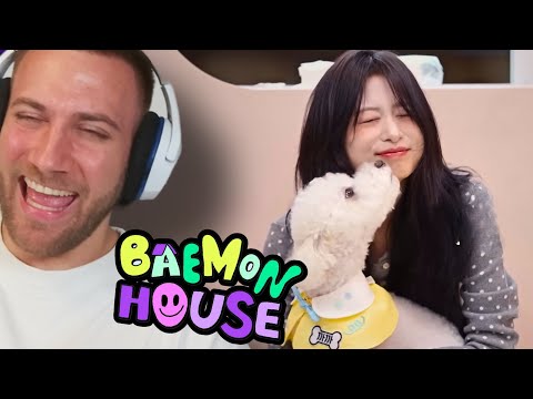 BABYMONSTER DOG SITTING!! BAEMON HOUSE EP.5  - REACTION