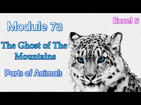 Excel 5 grade Module 7a, The Ghost of the Mountains, Parts of animals