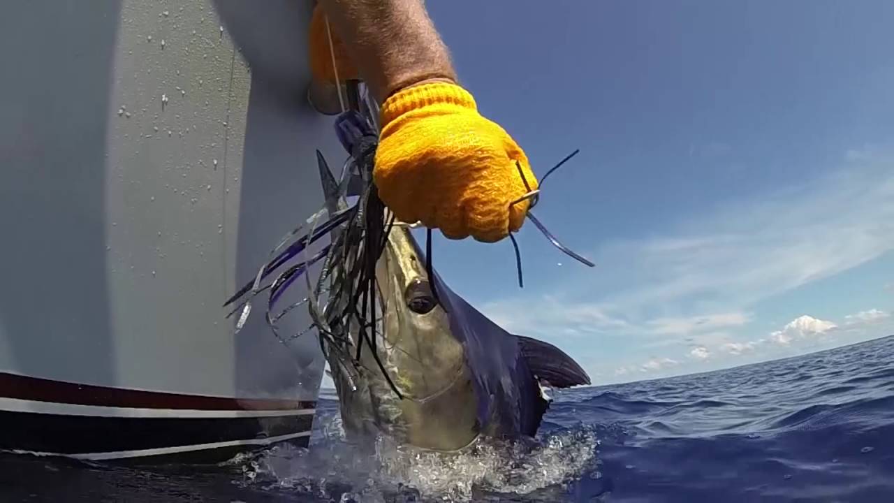 Offshore Marlin Fishing Los Sueños Costa Rica