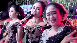 Download lagu OREK OREK - WALANG KEKEK - JARAN DOR // TAYUB GIYANTINI CS // ARUM LARAS GROBOGAN mp3