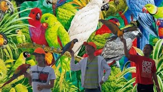 Download lagu Burung seharga puluhan juta cuma di lepas di alam liar #Macaw Free fly mp3