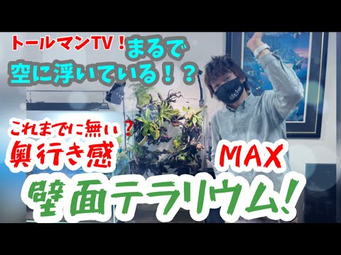 バルコニー用の白いフラワーボックス スパイダーフラワー ディコンドラヨモギ