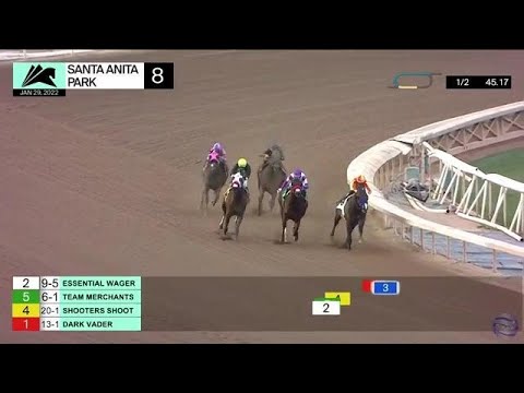 Palos Verdes Stakes (GIII) Race Replay