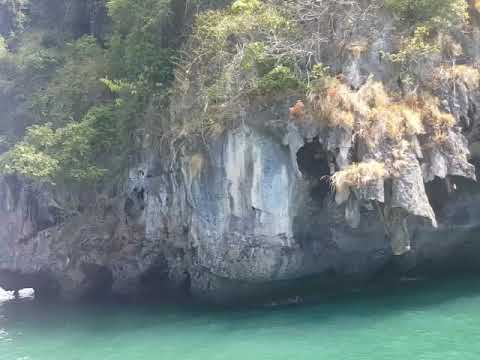 Family Fun Thailand by Petchara(5)